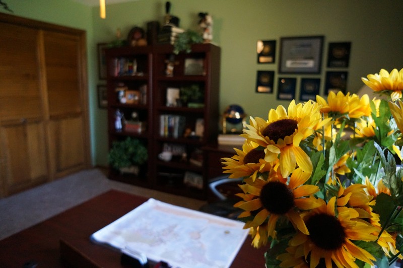 accessorize-the-home-flowers-on-office-desk