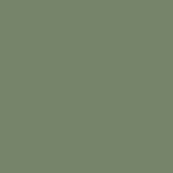 Color sample of a dark, warm & dirty green